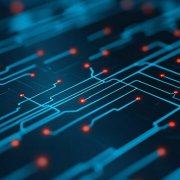 深圳教育部门组织跨国教